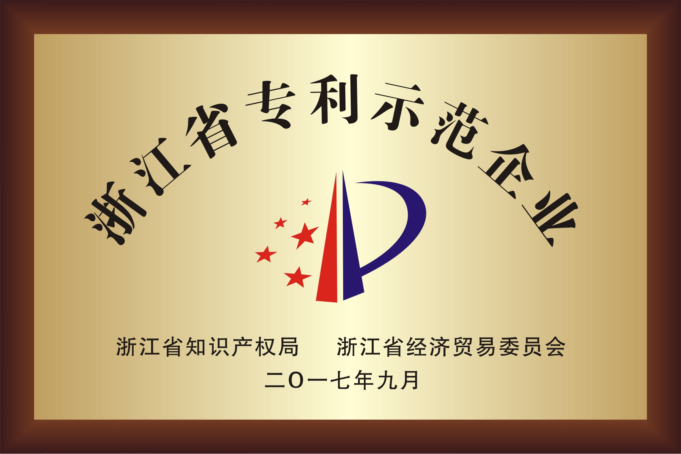 浙江省專利示范企業(yè)證書